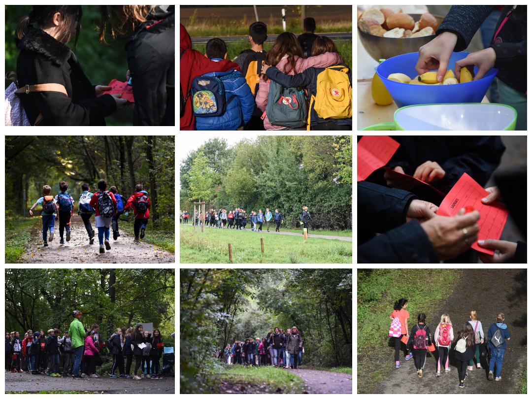 Sponsored walk 2019